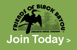Join Friends of Black Bayou Lake NWR Group 
