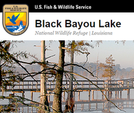 Click here to go to the USF&W web site for more info about Black Bayou Lake NWR