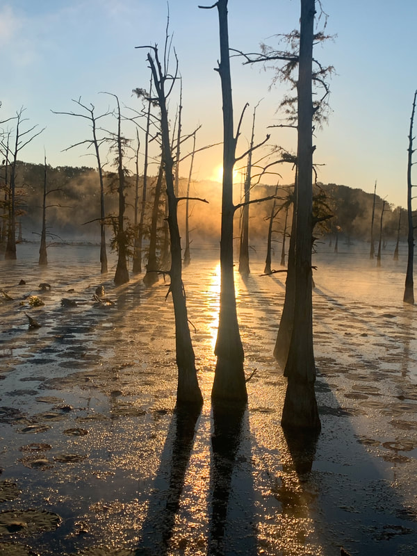 photographer Monica Boudreaux in LANDSCAPE category in Professional Division of Friends of Black Bayou Lake National Wildlife Refuge annual photo contest 2023