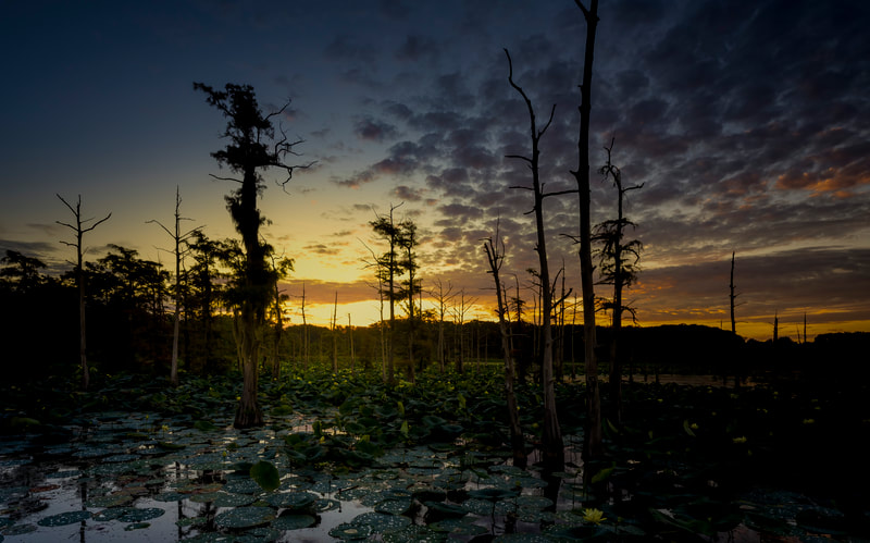 Honorable Mention "Perfect Beginning" by photographer Jeff Perot in LANDSCAPE Category of Professional Division of Friends of Black Bayou Lake National Wildlife Refuge annual photo contest 2023