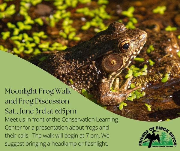 Frog Talk and Walk on June 3, 2023 at 7pm at Black Bayou Lake NWR Monroe, Louisiana