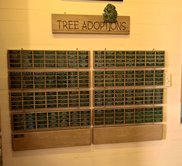Tree Adoptions Plaque at Black Bayou Lake NWR Visitor Center